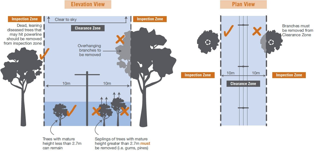 A graphic diagram shows the elevation and birds eye view of how far vegetation must be powerlines