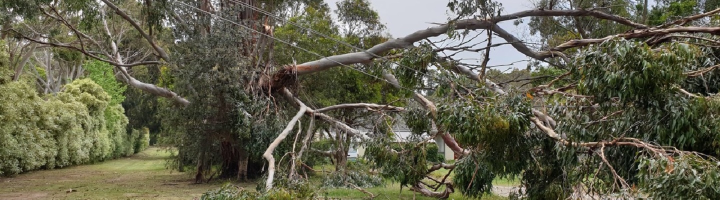 Update - Power outages across Victoria's northern and ...